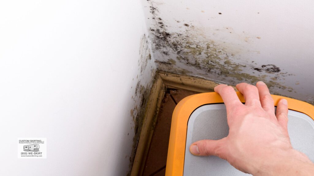 how to get rid of mold in rv