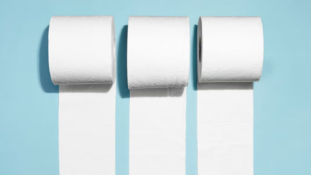best toilet paper for rv